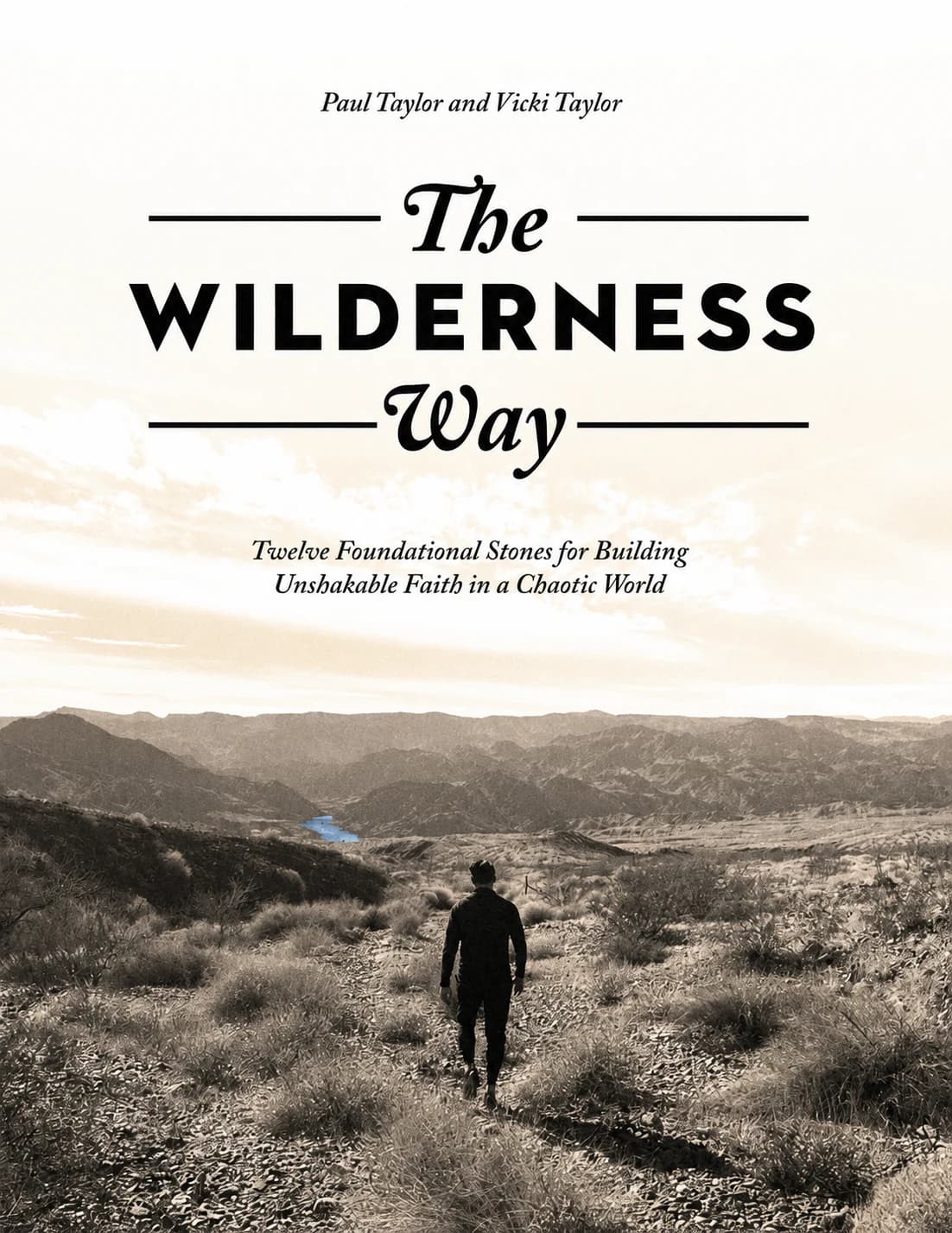 The Wilderness Way book cover